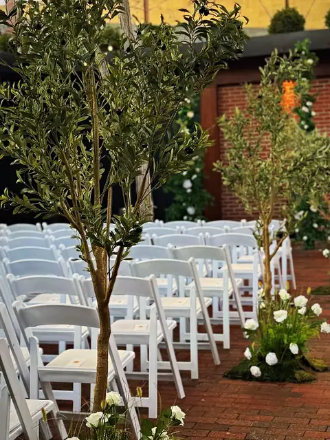 Courtyard wedding ceremony aisle lined with olive trees, white roses and moss beside white chairs