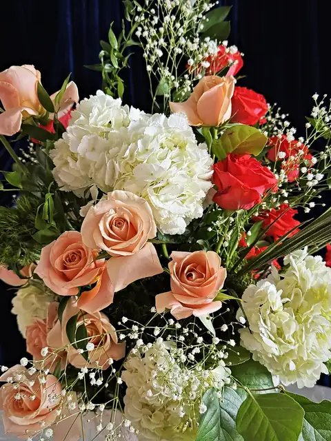 Blush and coral roses with white hydrangea and baby's breath in a centerpiece against navy velvet