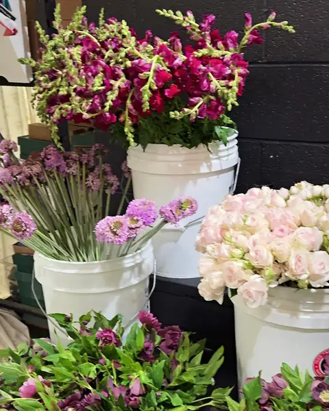 Buckets of fresh magenta stock, blush spray roses and lisianthus on market morning