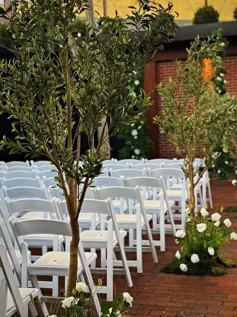 Courtyard wedding ceremony aisle lined with olive trees and white rose meadows beside white chairs