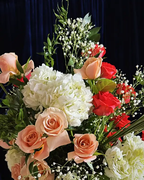 Peach roses, red spray roses, ivory hydrangea and baby's breath against navy velvet draping