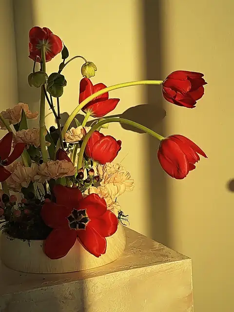 Red tulip and blush carnation arrangement with sweeping stems in golden light